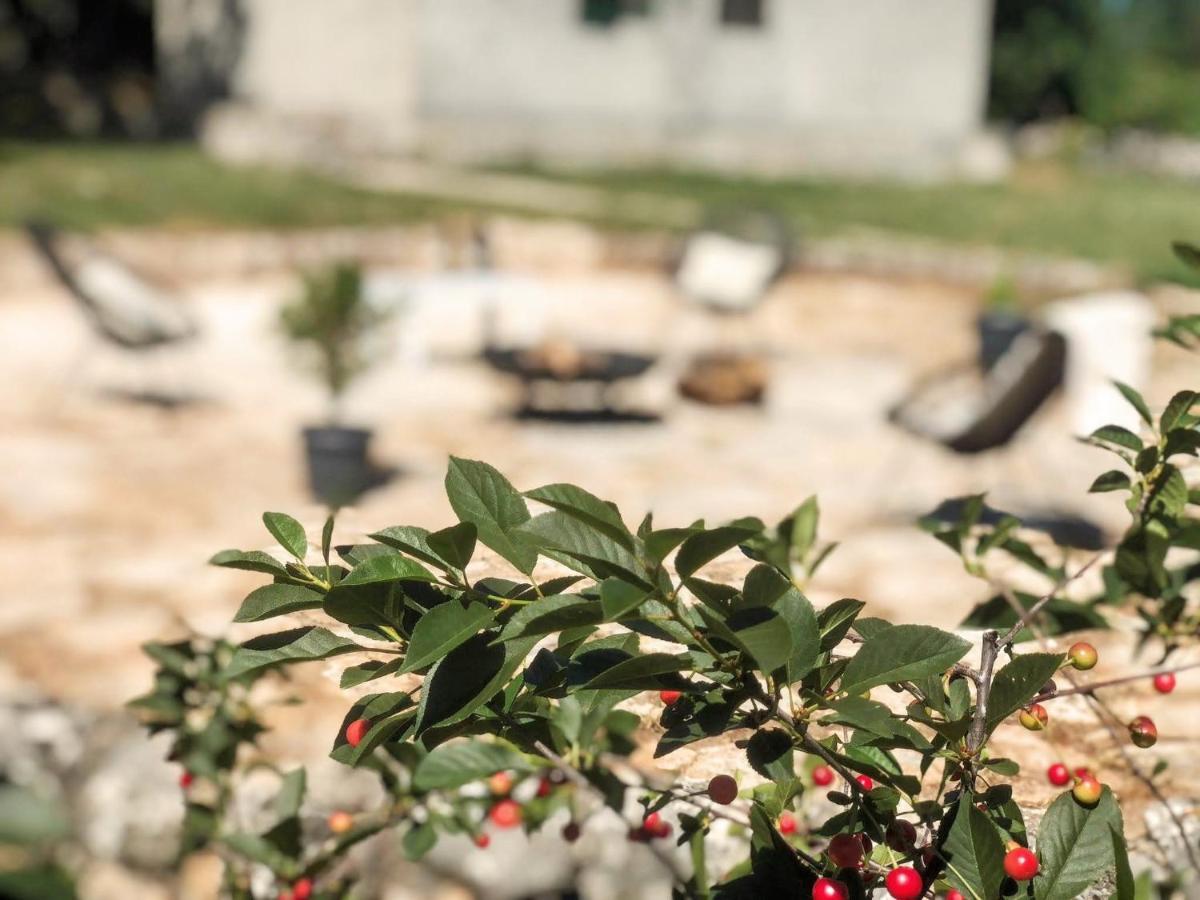 Villa Marie With Pool, Two Bedrooms For 4+2Kids Cavoglave Ngoại thất bức ảnh